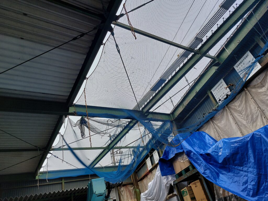 雨漏り修理　掛川市工場屋根、塩害腐食した折板屋根をカバー工法にて施工致しました。