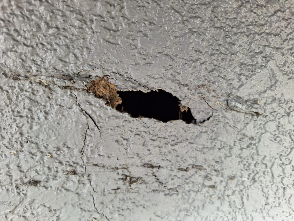 牧之原市細江地区　竜巻被害復旧作業⑥