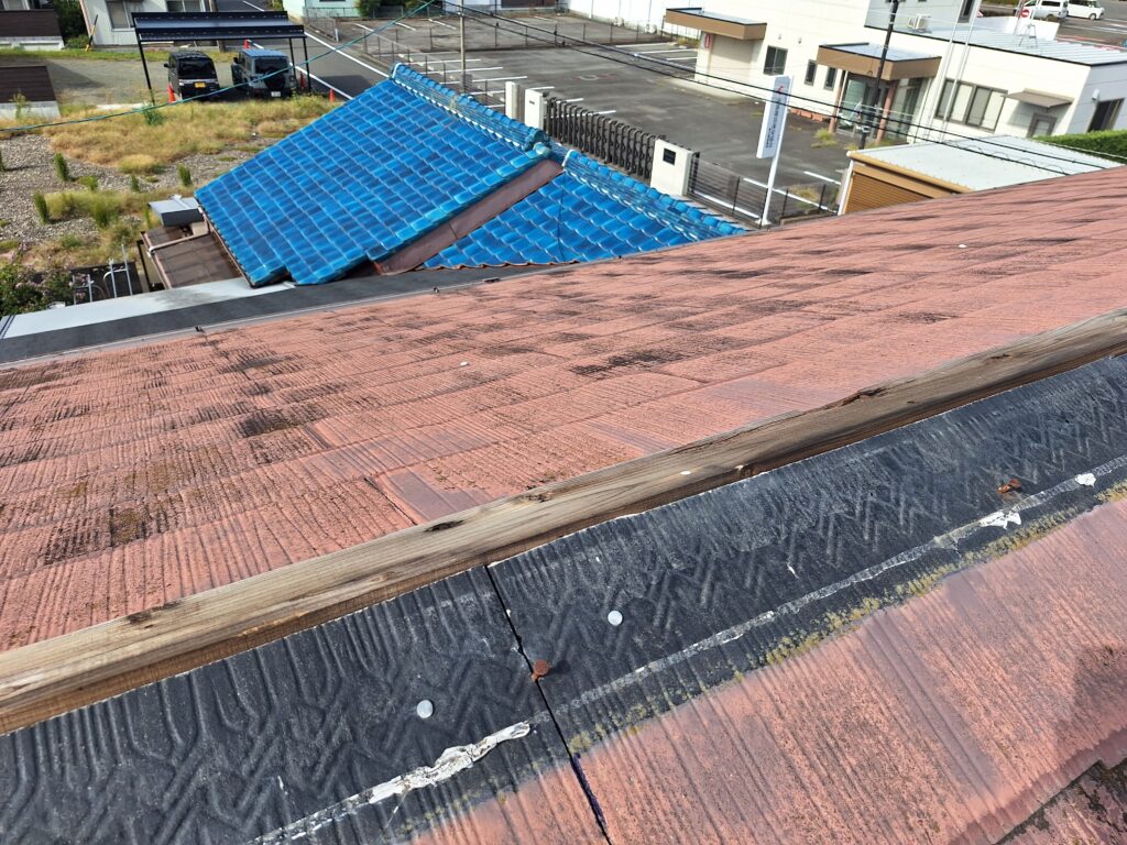 牧之原市細江地区　竜巻被害復旧作業③